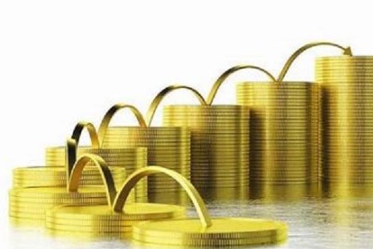 飛不起來(lái)的豬 穩(wěn)健與理性的投資管理之道